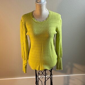Adrianna Papell Vibrant Green Crew Neck Sweater